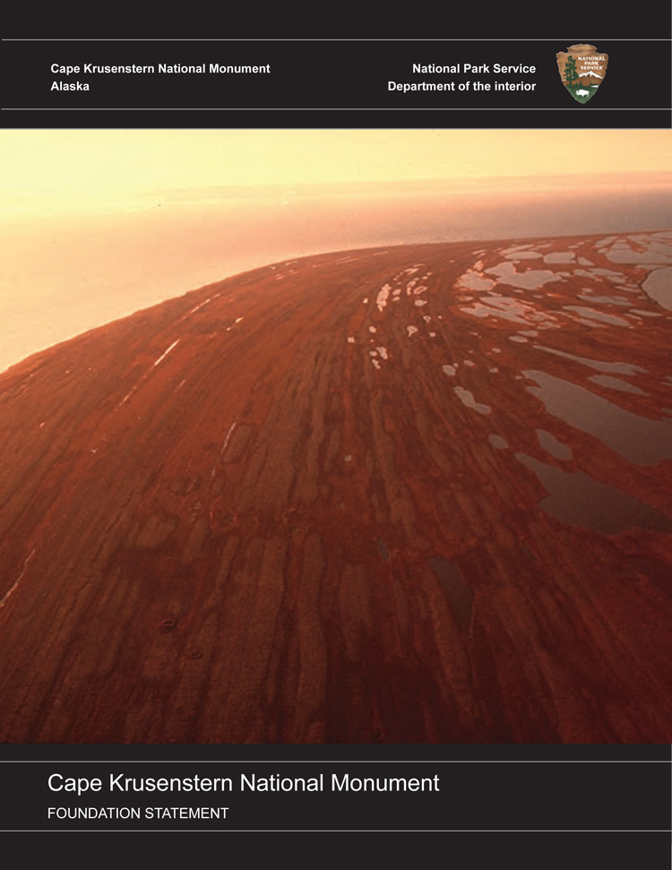 Cover page of CAKR Foundation Statement