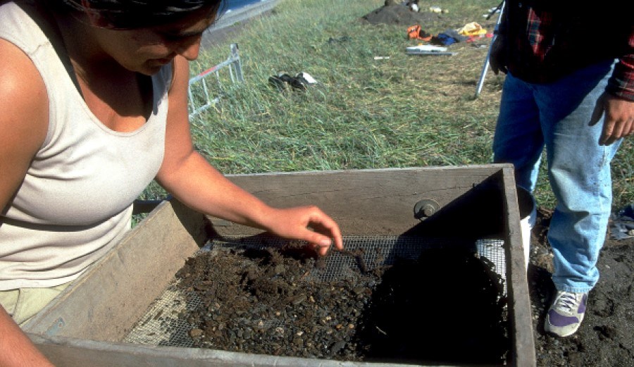 Researcher uses a screen to sift for artifacts at a dig site