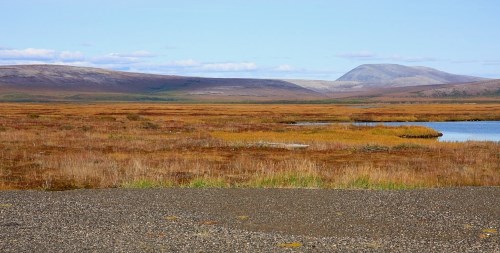 Overlooking the mountains with fall colors at Cape Krusenstern