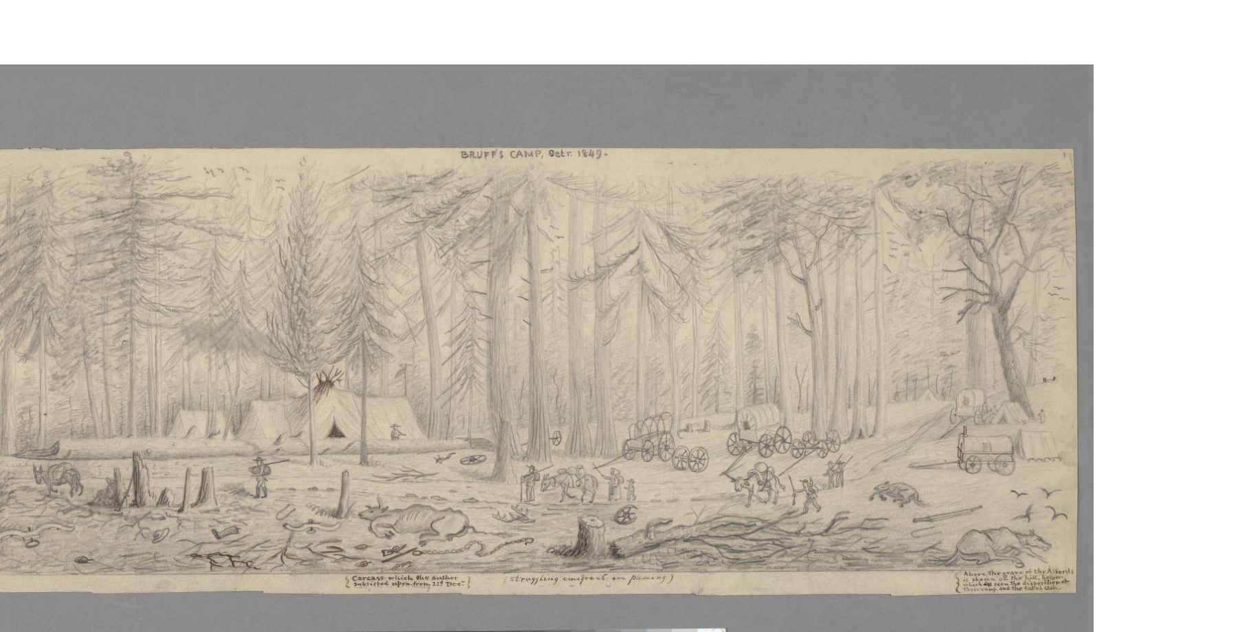 In the foreground are cut trees, dropped branches, and stumps, two dead horses and a dead cow, a discarded boot, two ox yokes, wagon chain and broken wagon tongue, a deer skull with antlers, and a broken wagon wheel