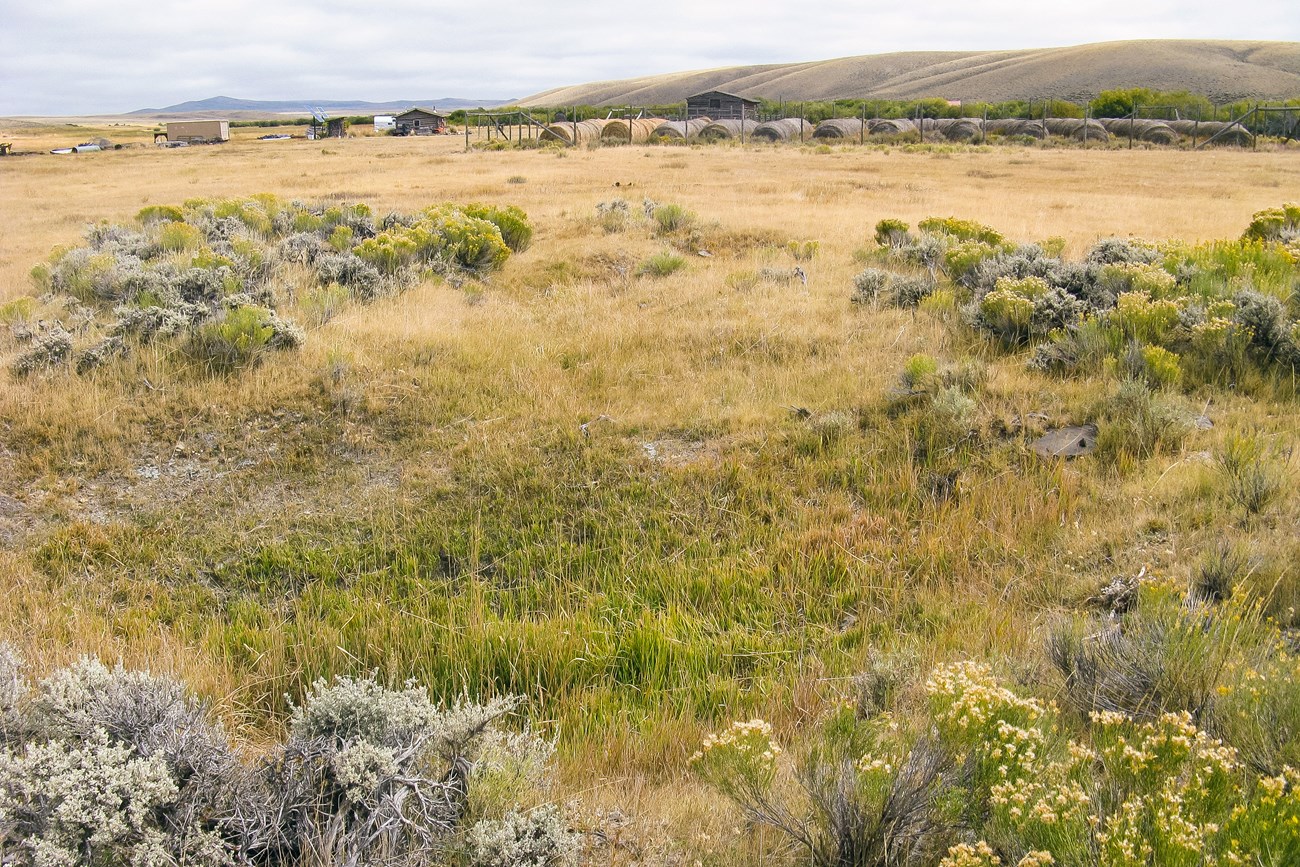 lt= A working ranch consisting of several buildings and structures surrounded by grass and low-lying shrubs in a valley edged by short, rolling hills.