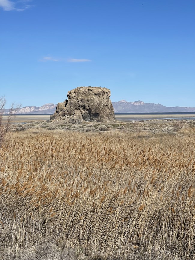 A large rock feature in the desert.