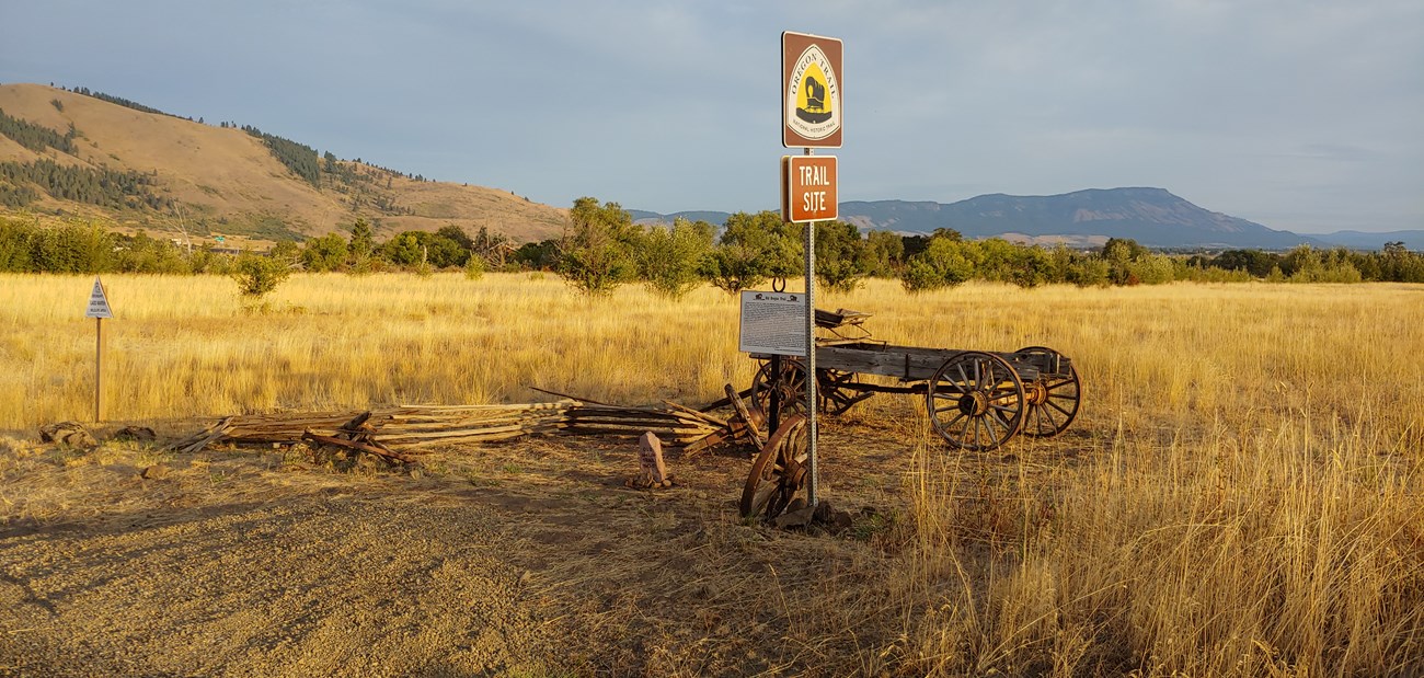 A brown trail sign stands in a field of tall grass.