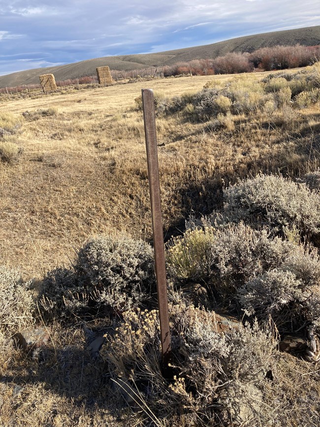 lt= A wooden icon stands in the grass.