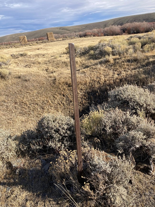 A wooden icon stands in the grass.