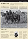 thumbnail image of exhibit