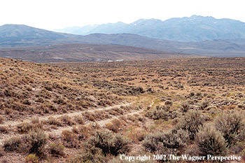 Trail from Nevada to the high Sierra-Nevada Mountains. Trail from Nevada to the high Sierra-Nevada Mountains.