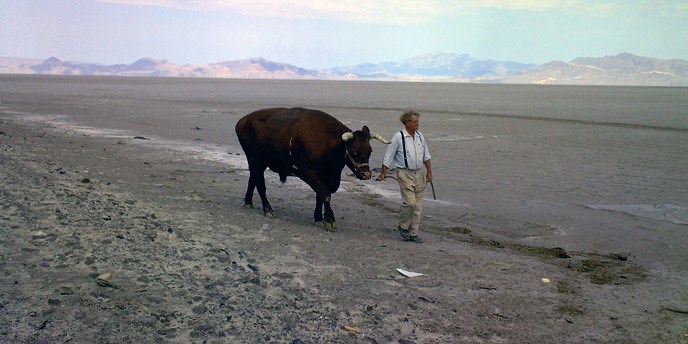 A man and an ox cross a sandy desert with mountains in the background