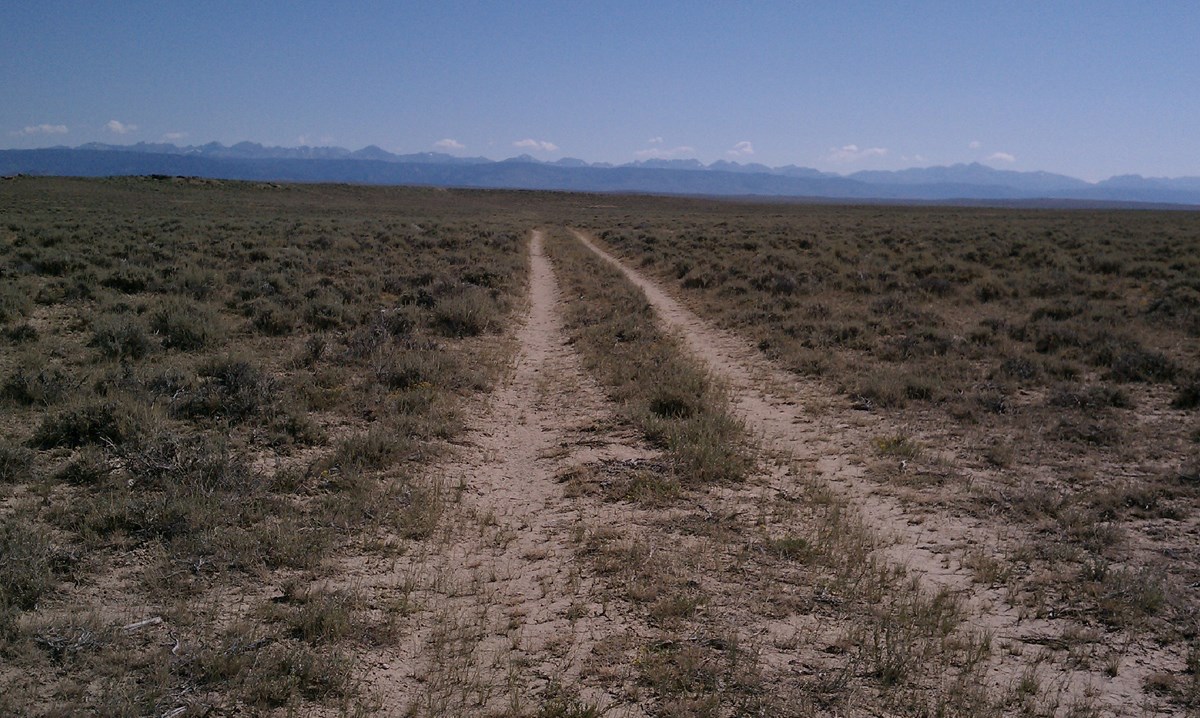 Two trail ruts lead into the vast desert scrub.