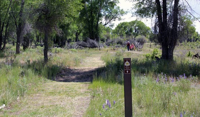 People walk down a trail in a grassy, wooded setting.