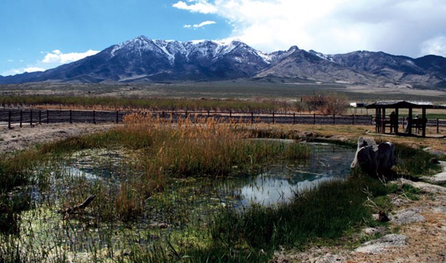 Gray snowcovered mountains sit behind a spring with grass and some people enjoying the site. Gray snowcovered mountains sit behind a spring with grass and some people enjoying the site.