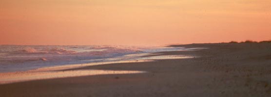 Last rays of the sun turn the sky orange along the beach. Last rays of the sun turn the sky orange along the beach.