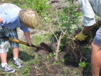 Local Students Plant a Rain Garden