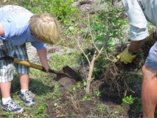 Local Students Plant a Rain Garden Local Students Plant a Rain Garden