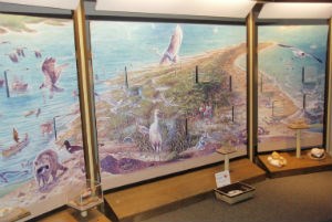 Discovery Room at the Harkers Island Visitor Center