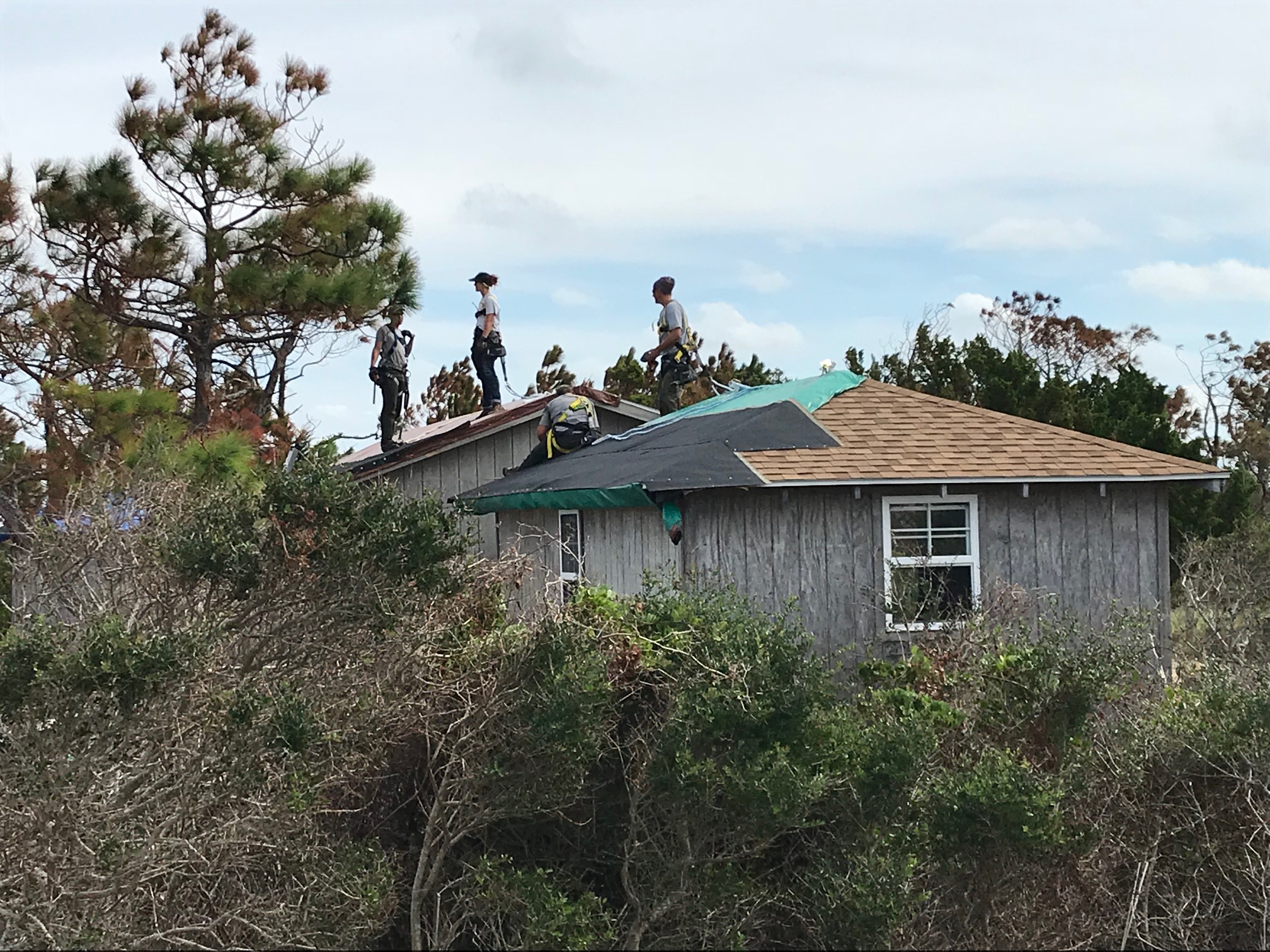 Four men stand on the roofs of two cabins at Long Point. Four men stand on the roofs of two cabins