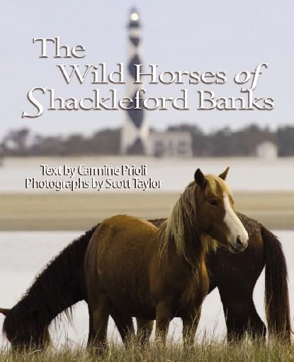 2007 4-3 Prioli Book- TheWildHorsesofShacklefordBanks book cover