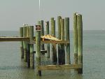 Damage to the ferry dock at Shackleford Banks
