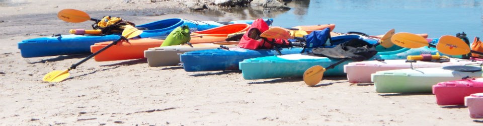 Kayaks parked on the sand.