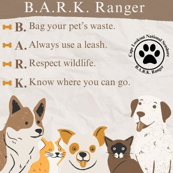 Graphic of bark ranger program with dogs and cats