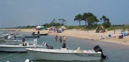 Visitors on Beach