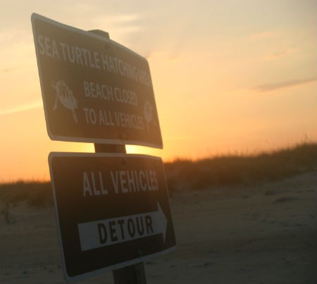 Sea Turtle Hatching Area Beach Closed to All Vehicles