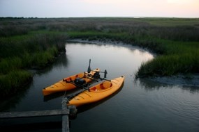 Kayaks in Marsh