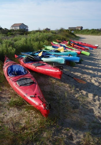 Kayaks parked on the sand.