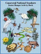 Junior Ranger Activity Book Cover