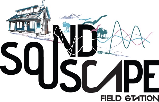 Soundscape Graphic