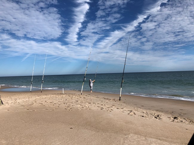 Person Fishing on the Beach