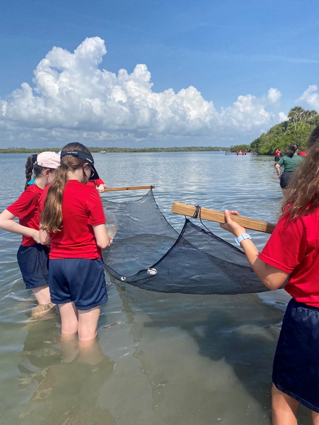 Students seine net at Turtle Mound.