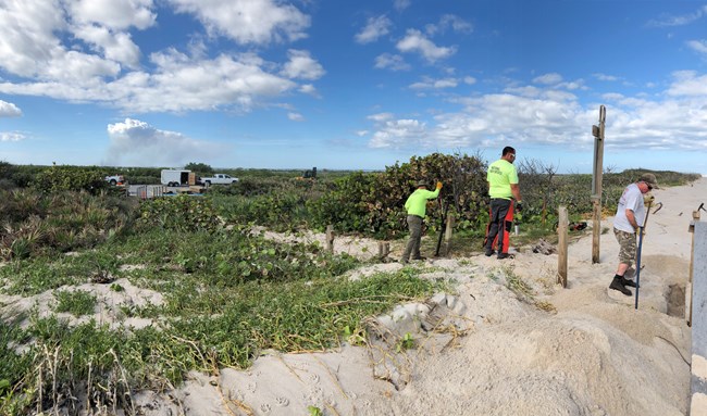 Boardwalk Rebuild