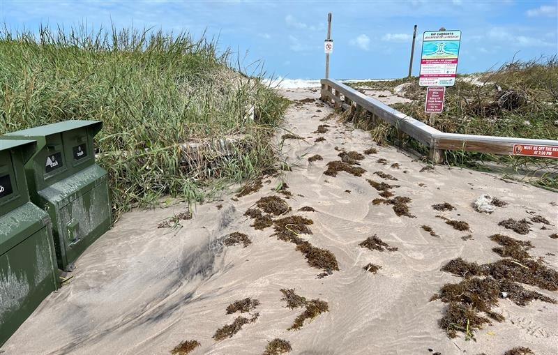 Overwash at one of the entrances to Playalinda Beach Image shows sand covering a boardwalk leading to the ocean. There are waves crashing in the background. Sand dunes flank the boardwalk and green trash cans are to the left.