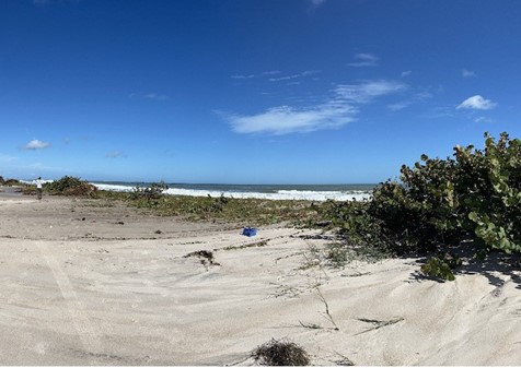 Nicole Update PD Playalinda Beach