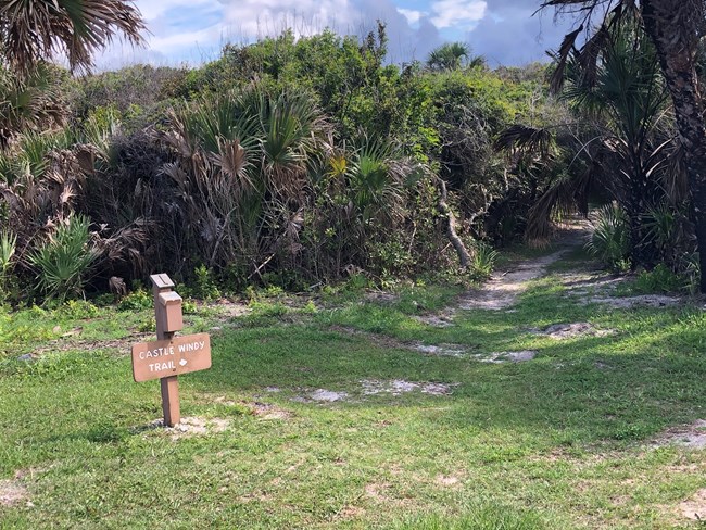 Castle Windy Trail Head