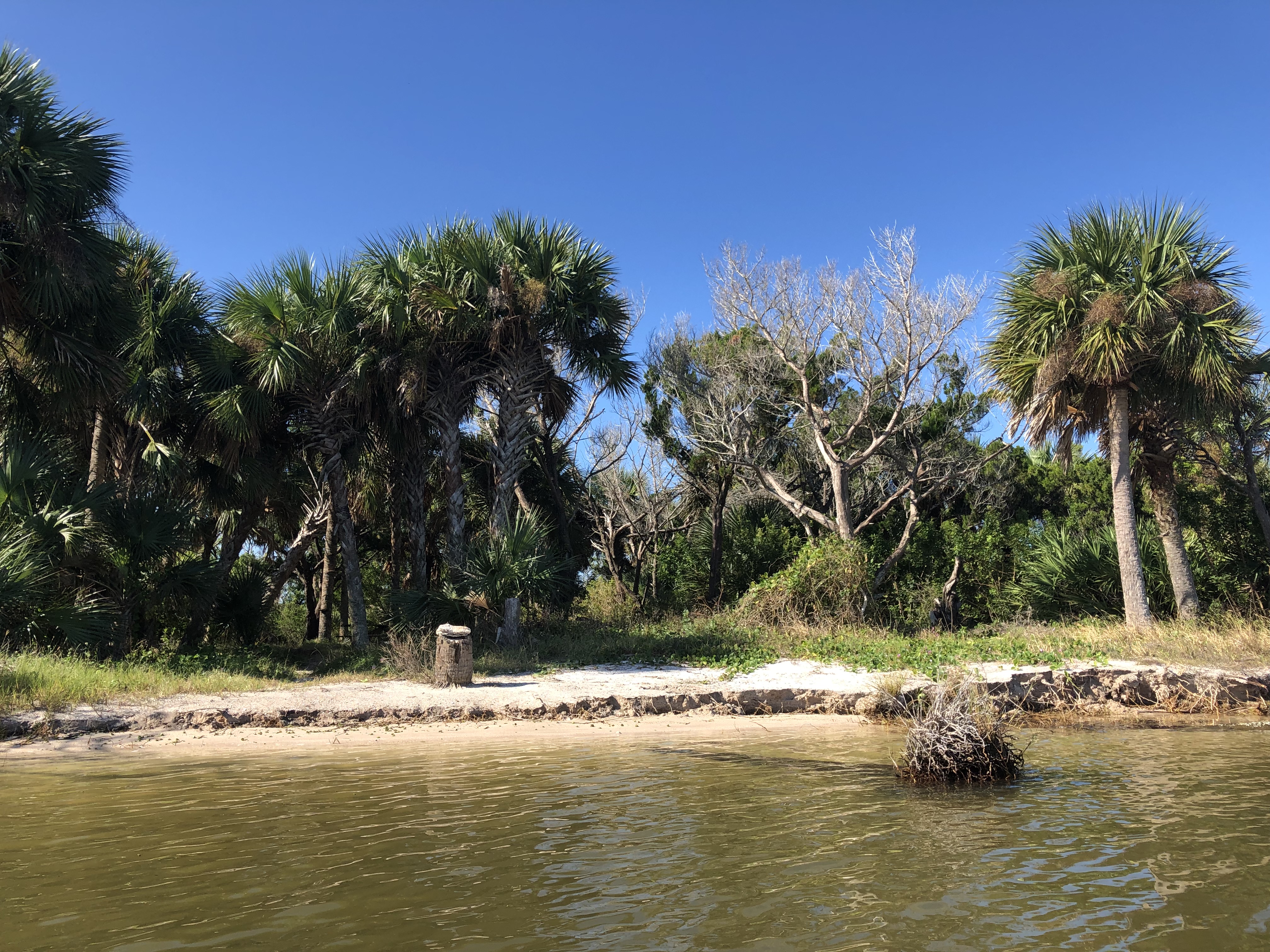 Camping Canaveral National Seashore U S National Park Service