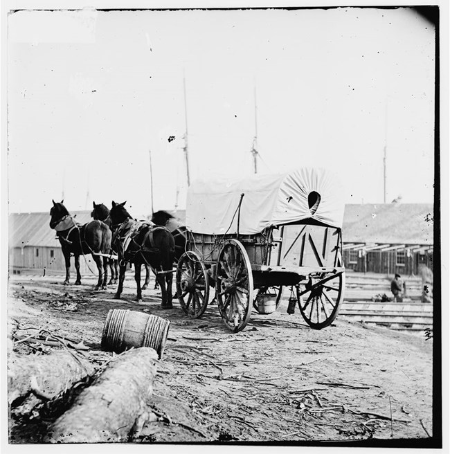 Four mule-team and wagon during the Civil War.