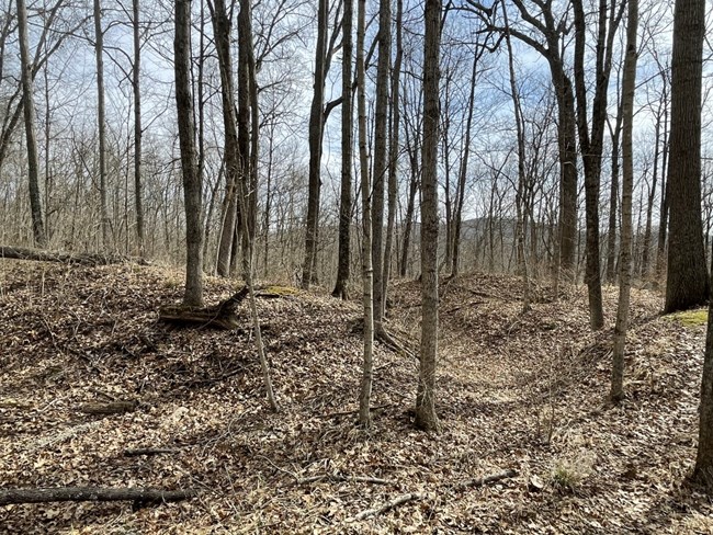 Earthen walls in a section of woods with leafless trees. Blue sky with white clouds in the background.