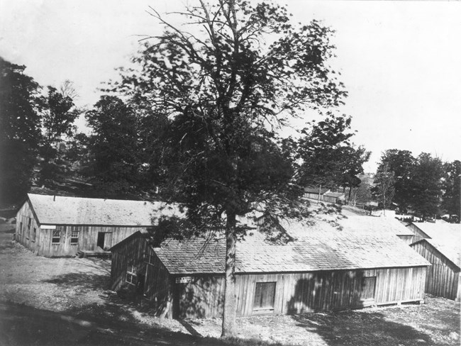 Several long one-story buildings with a tree in the center foreground during the Civil War.