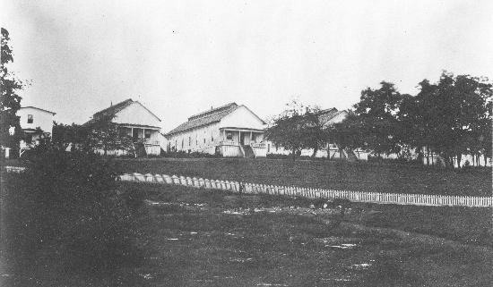 Historic photograph of wooden hospital buildings with trees in the background