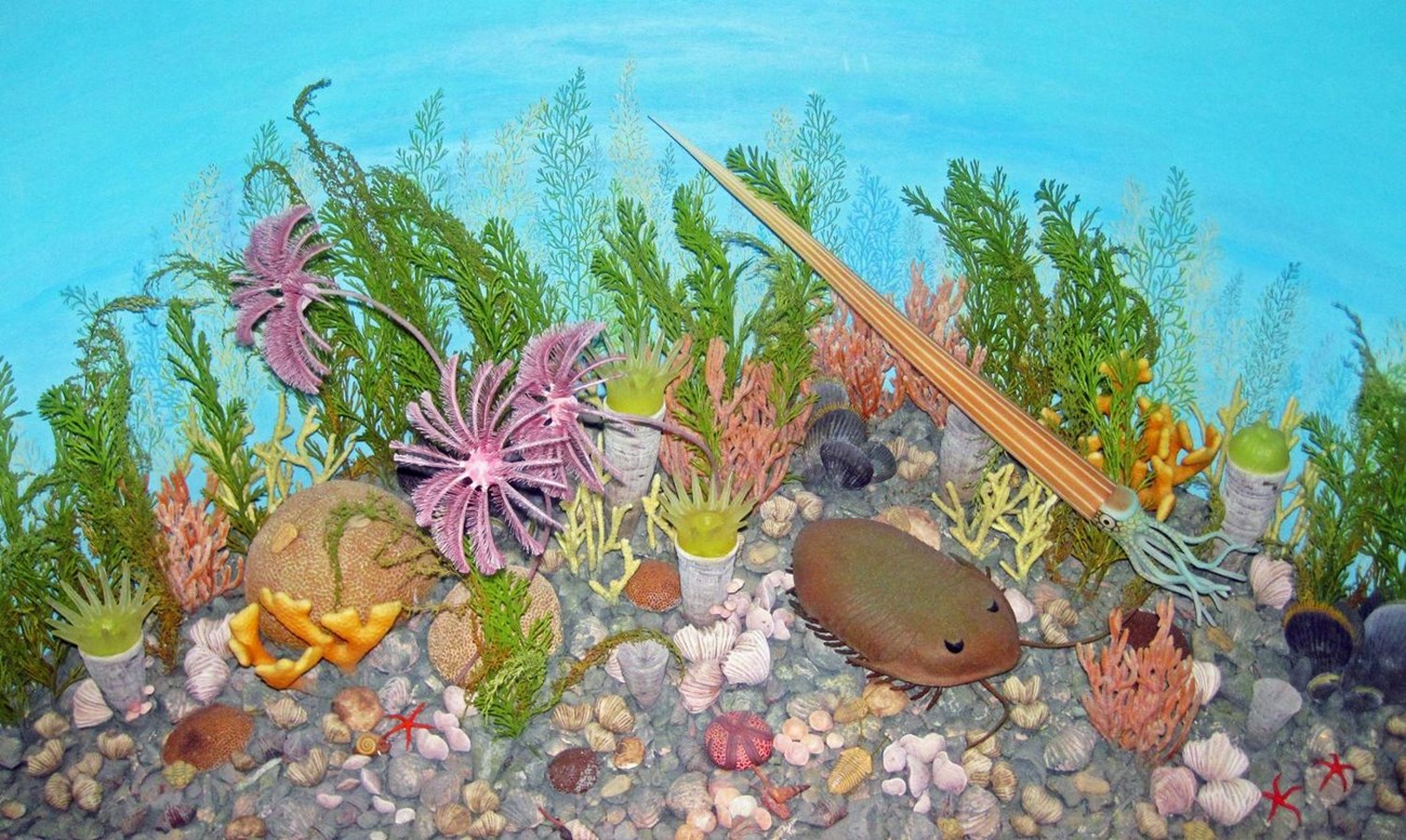 Diorama of the Late Ordovician seafloor