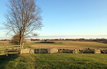 Fence runs through field where flag marks earthen mound