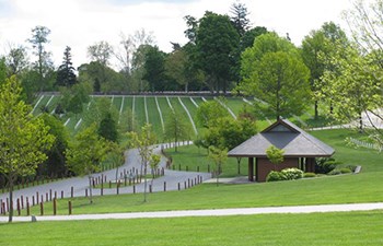 Straight rows of headstones in national cemetery.