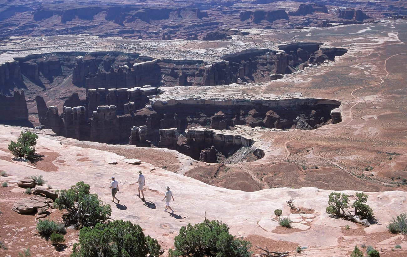 Hikers on the Grand View Point Trail Hikers walk on a flat slickrock ledge on the rim of a huge canyon.