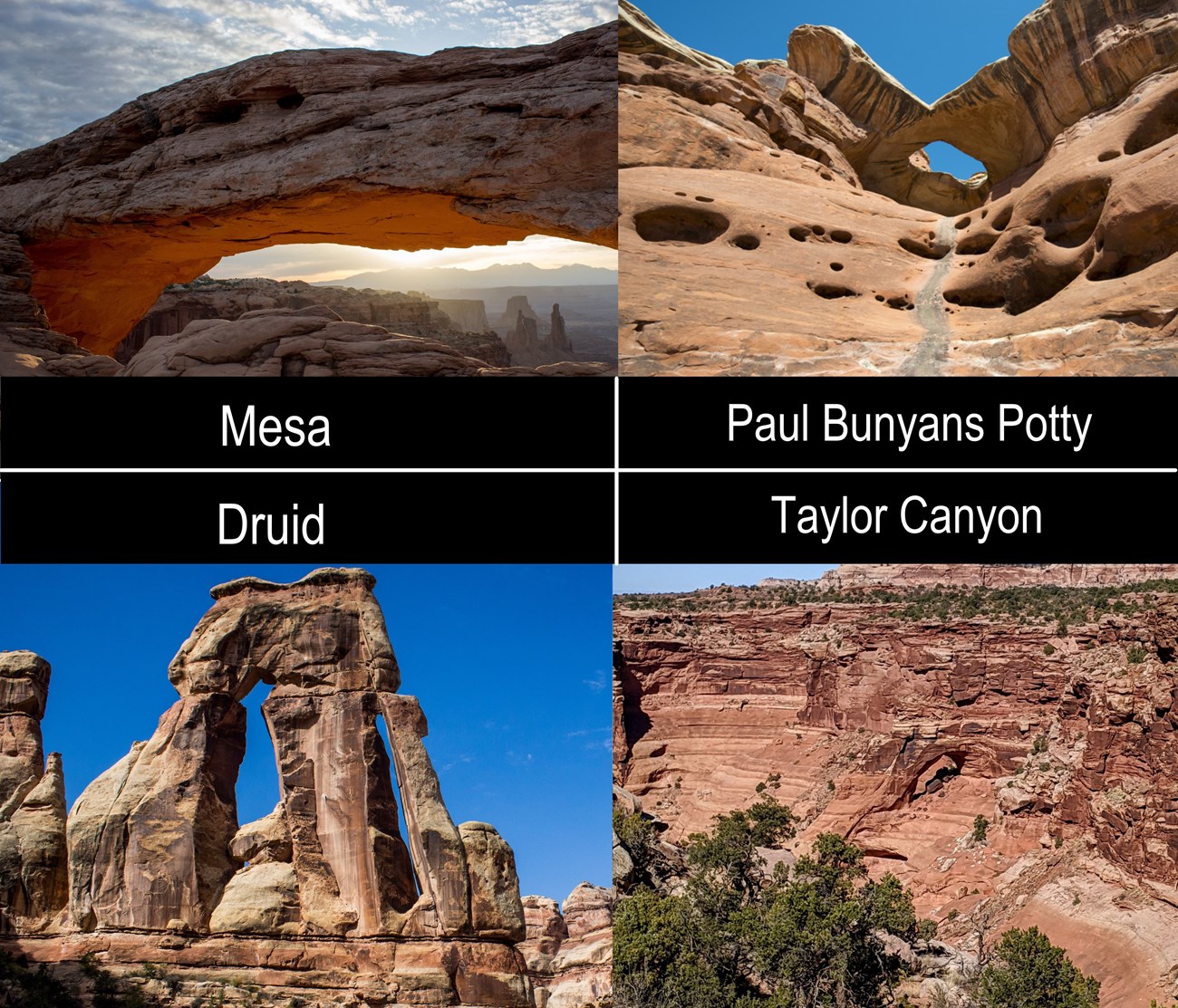 Four arches break the image into fourths. Mesa Arch, Paul Bunyans Potty, Druid Arch, and Taylor Canyon Arch.
