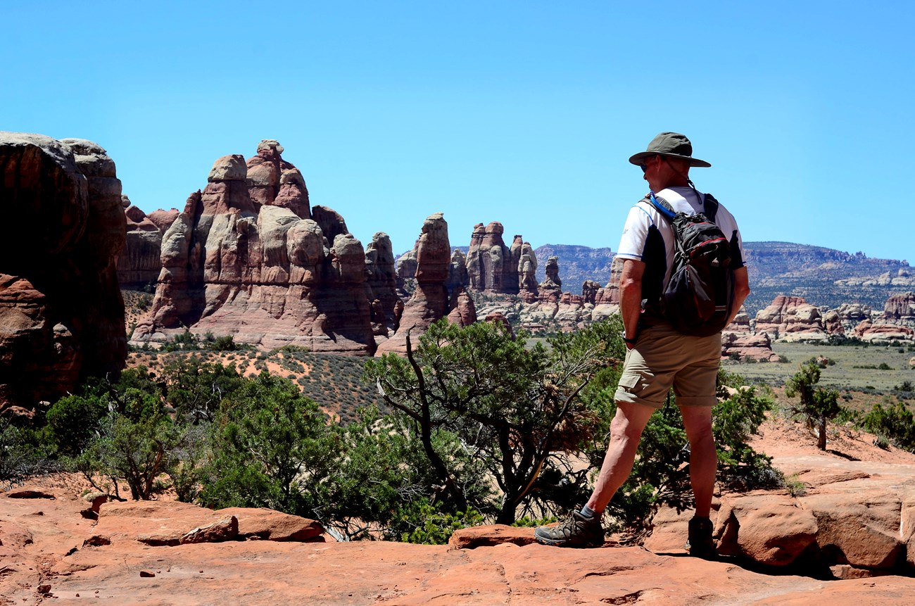 A hiker stands on a rock regarding towers of sandstone