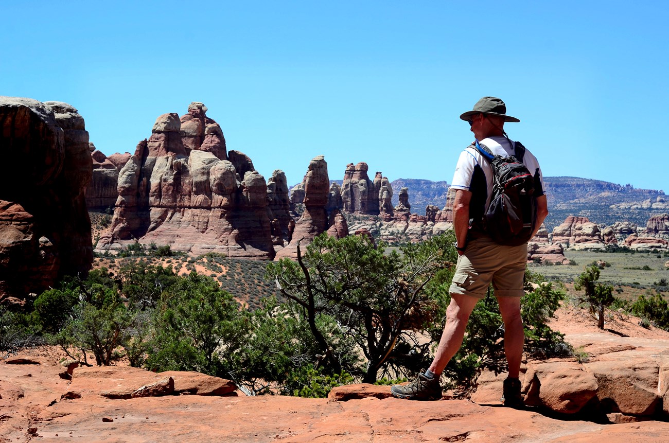 Hiker in the Needles A hiker stands on a rock regarding towers of sandstone