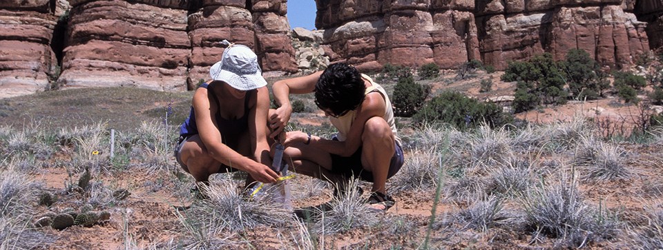 two people kneel on the ground to collect soil samples two people kneel on the ground to collect soil samples