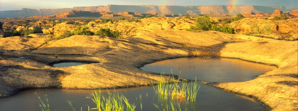 water-filled pools on a rock surface